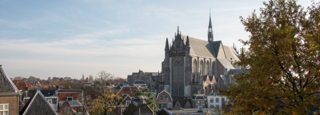 Website afmeting-28.png